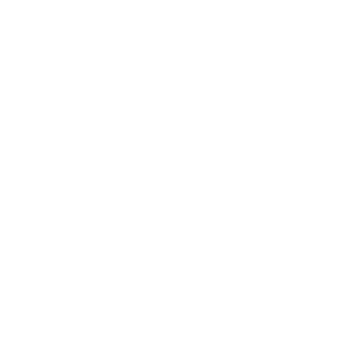 VSR Logo